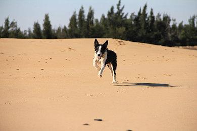 恋爱模拟游戏《维纳斯璀璨假期》第三位登场女孩公布：伊莉丝